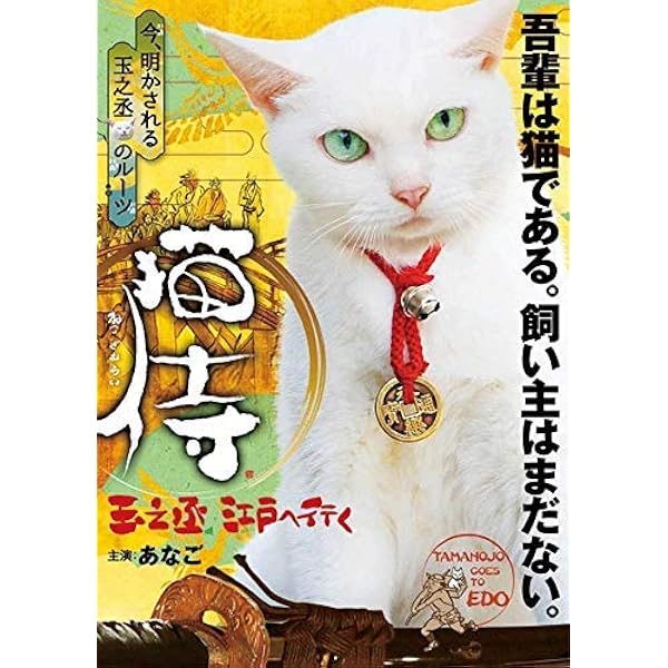 Amazon.co.jp: ドラマ「 猫侍 SEASON2 」DVD-BOX : 北村一輝, 森カンナ